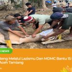 Penyerahan bantuan 15 ekor sapi dari PWM Jawa Tengah melalui Lazismu dan MDMC kepada masyarakat Desa Kotalintang, Aceh Tamiang, untuk tradisi Meugang menyambut Ramadhan.