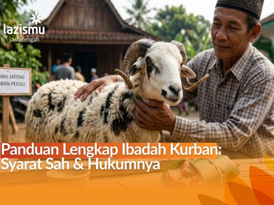 Ilustrasi domba kurban jantan bertanduk kualitas terbaik untuk Idul Adha