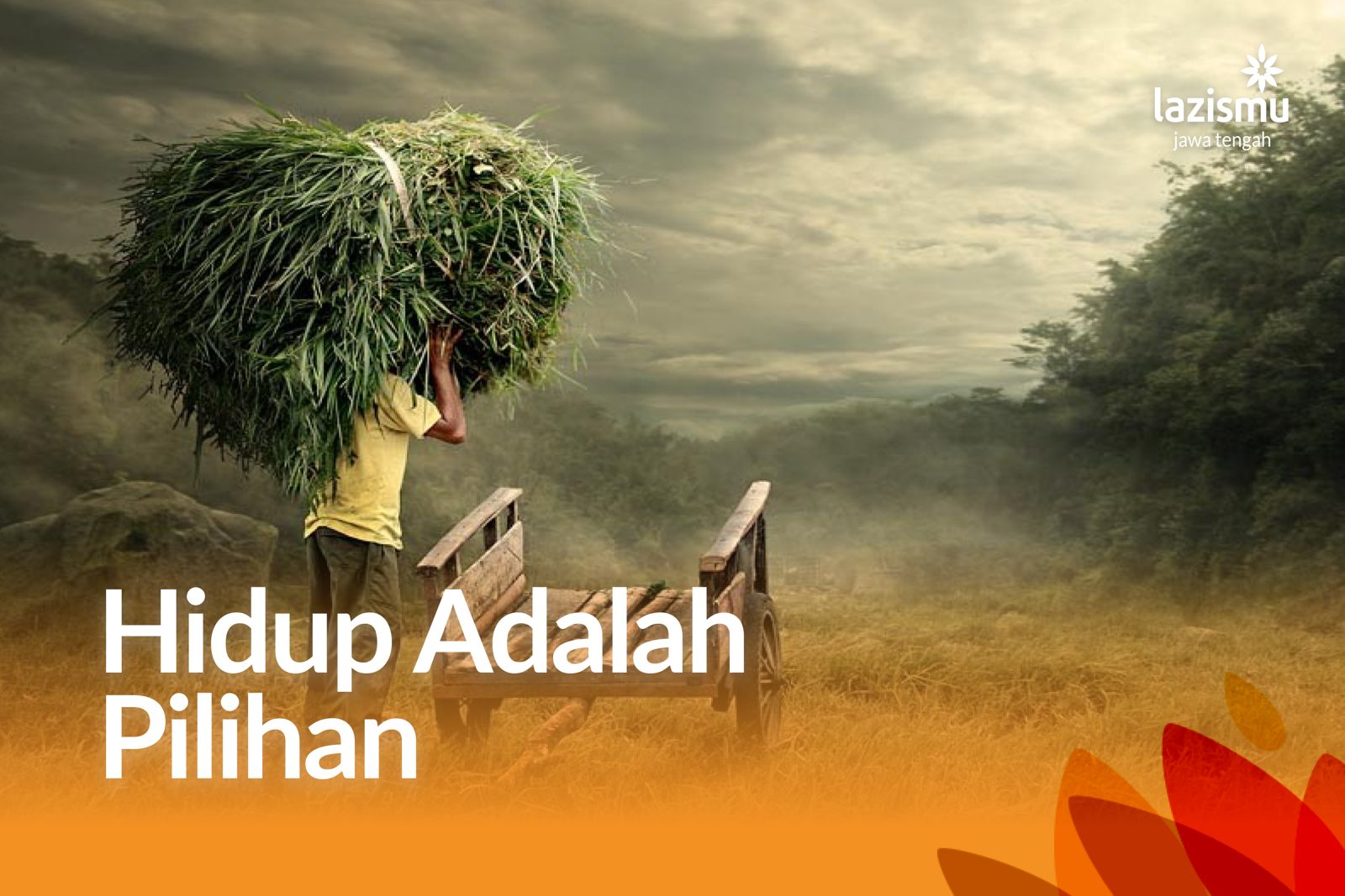 Hidup Adalah Pilihan: Menyeimbangkan Takdir dan Ikhtiar Agar Hati Tenang