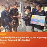 Program Sapi Muhammadiyah Berdaya Guna di Karangasem Bali