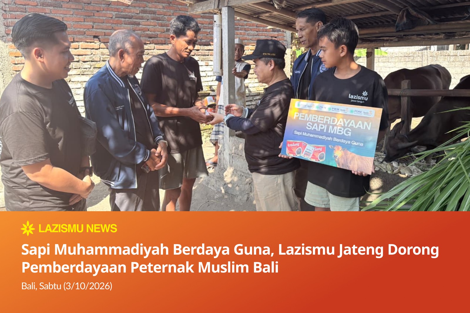 Program Sapi Muhammadiyah Berdaya Guna di Karangasem Bali